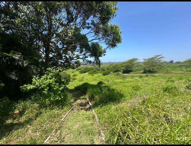 16,870M² VACANT LAND FOR SALE IN SALT ROCK